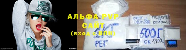 ешки Аркадак