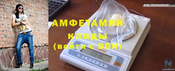 ешки Аркадак