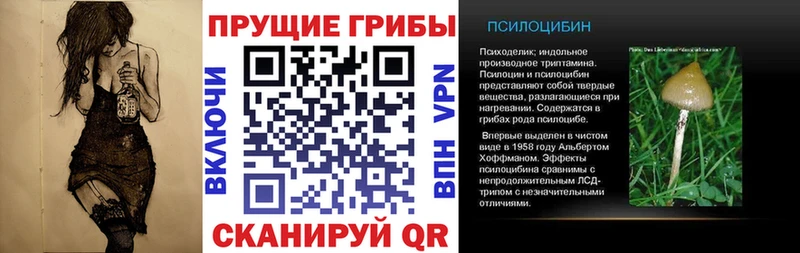 Псилоцибиновые грибы мицелий наркотики Пудож